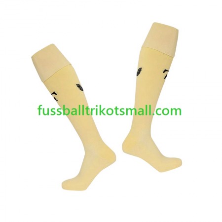 Feyenoord Rotterdam Socken 2024-2025 Fourth kaufen